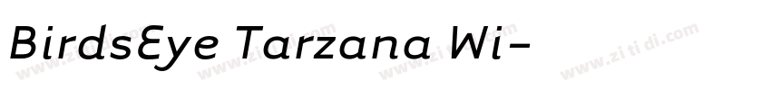 BirdsEye Tarzana Wi字体转换